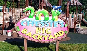 Chessie's Big Backyard.